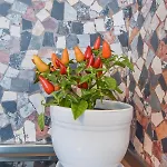 Apartamento Bright 2bd Center - Ac & Fast Wi-fi By Flat Mаnager