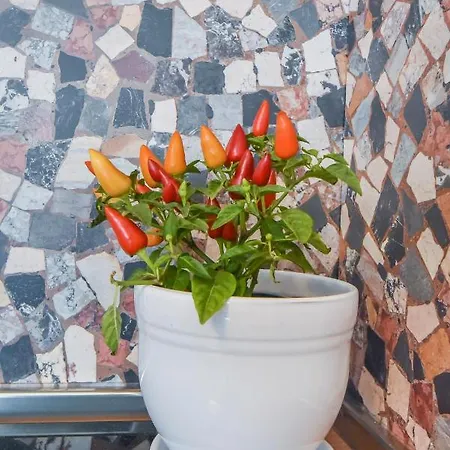 Апартаменты Cosy&renovated 2bd Flat Near Vitoshka By Flat Mаnager