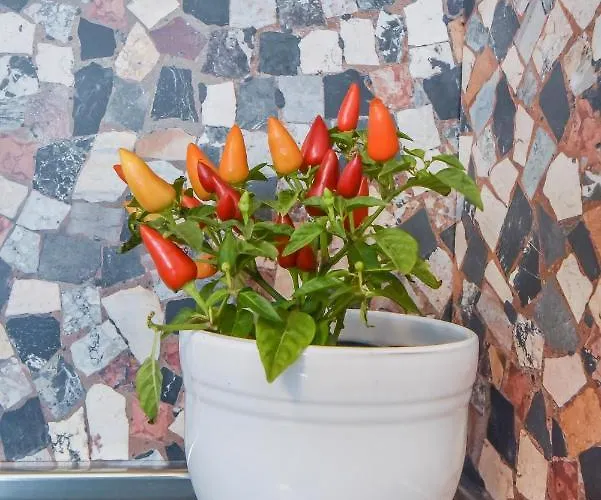 Apartamento Cosy & Renovated 2bd Flat Near Vitoshka By Flat Mаnager